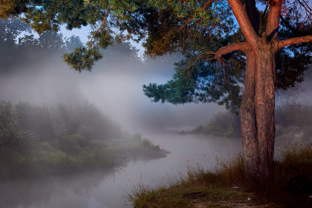 Фотография автора Totoro