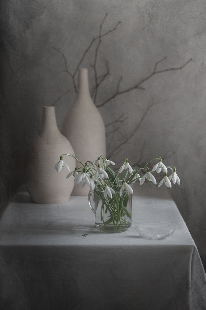 Photograph by Елена Рубинская