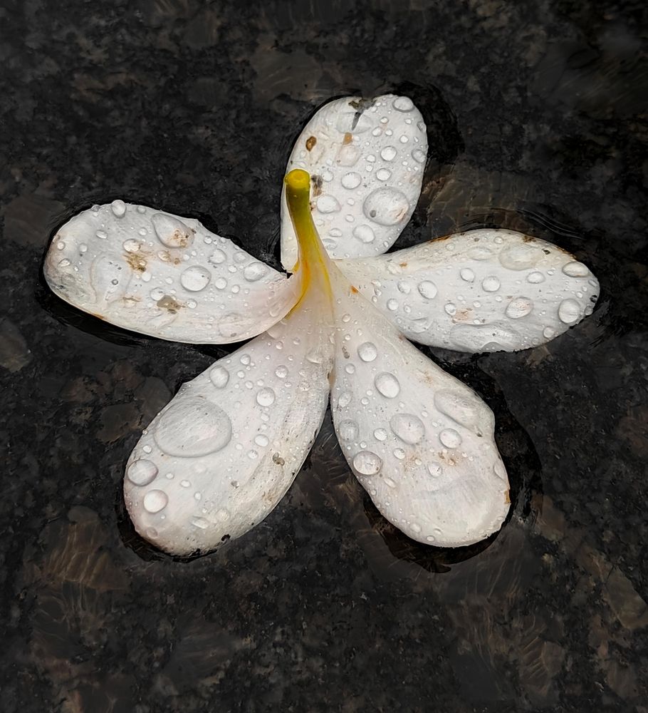 Photograph by Aditya Pawar