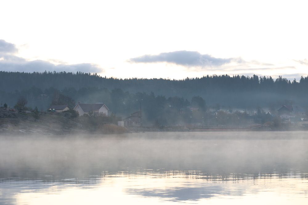 Фотография автора Alina Efimova