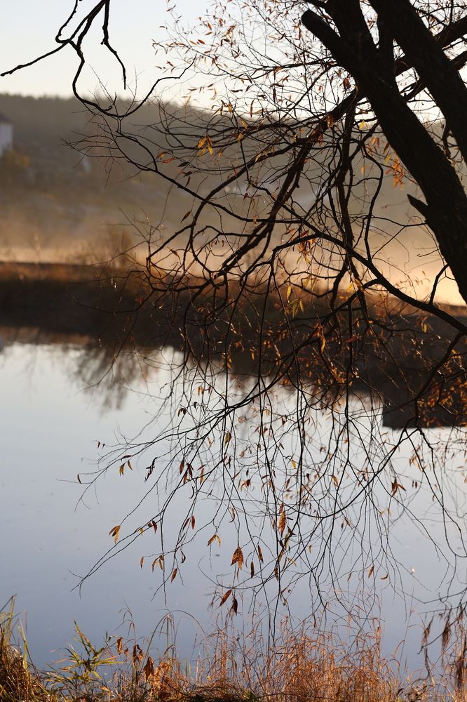 Фотография автора Alina Efimova