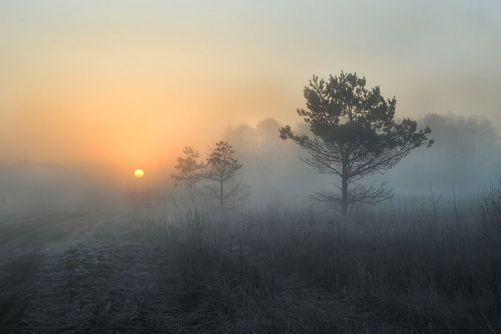 Photograph by Cергей Абакумов