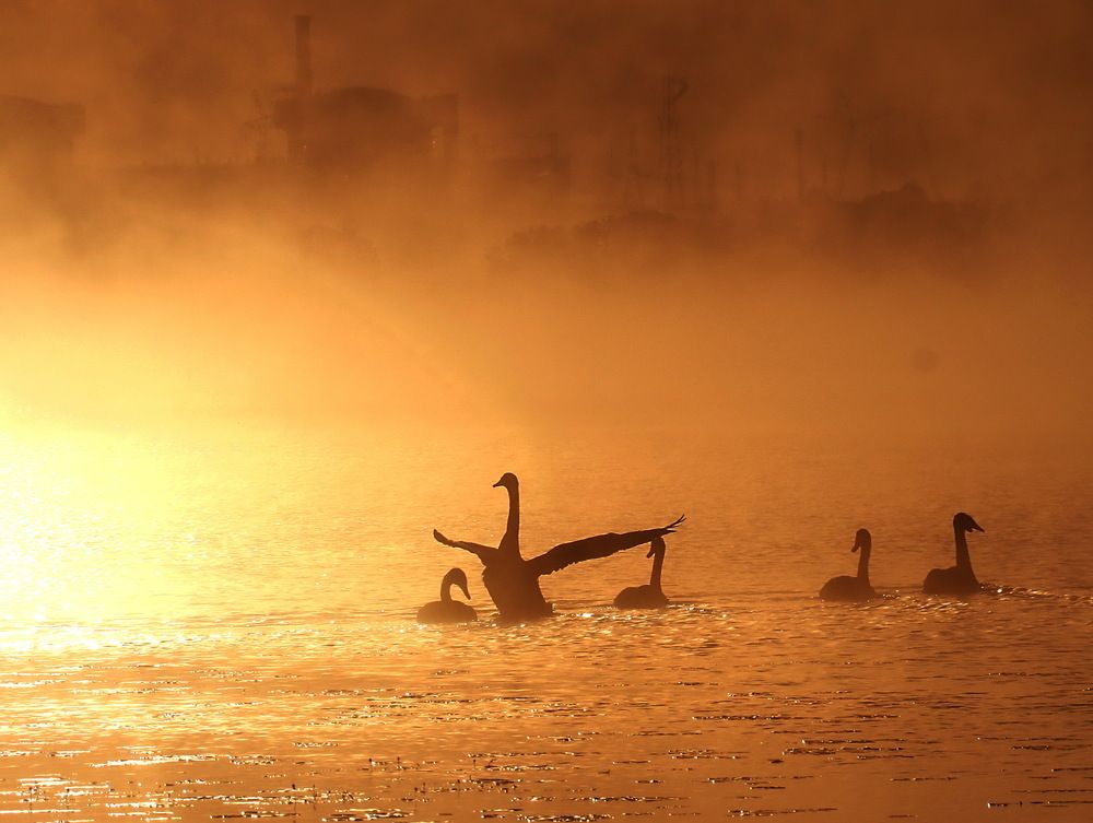 Photograph by Александр Лазебник