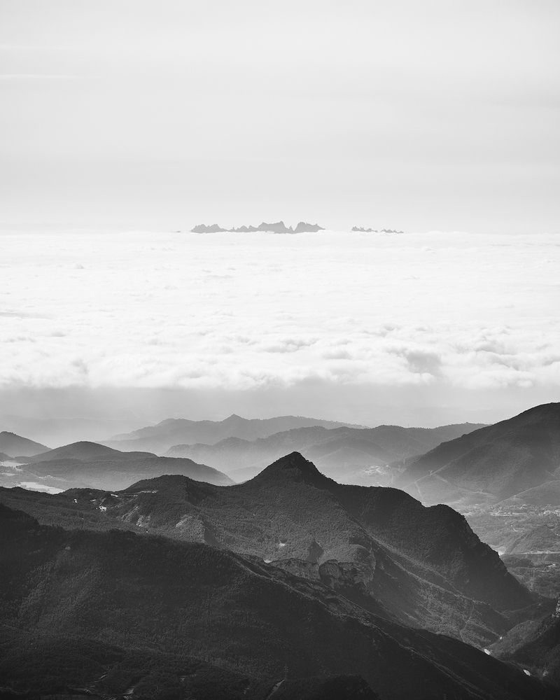 Photograph by Владимир Эделев