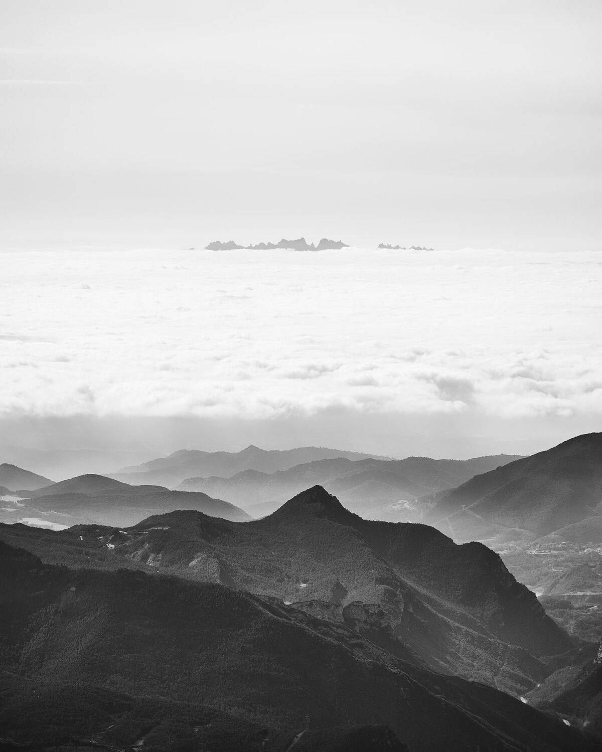 Photo #12112339
