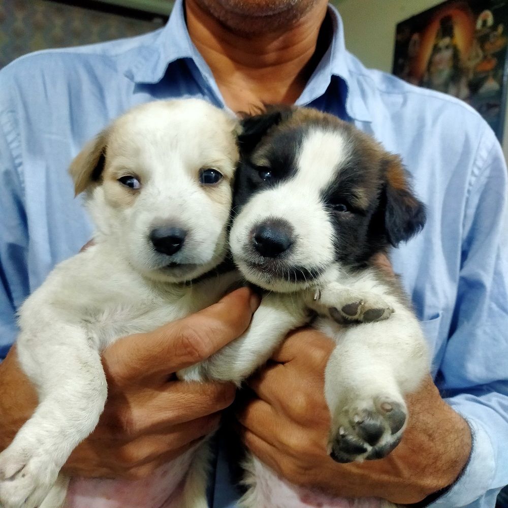 Photo #12112499