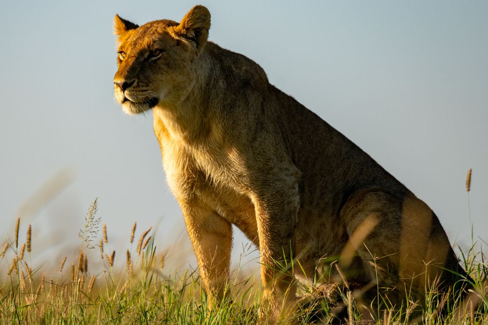 Photograph by Игорь Чебунин