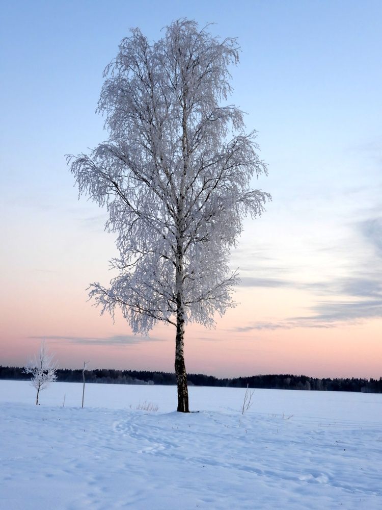 Photograph by Александр Шаварин