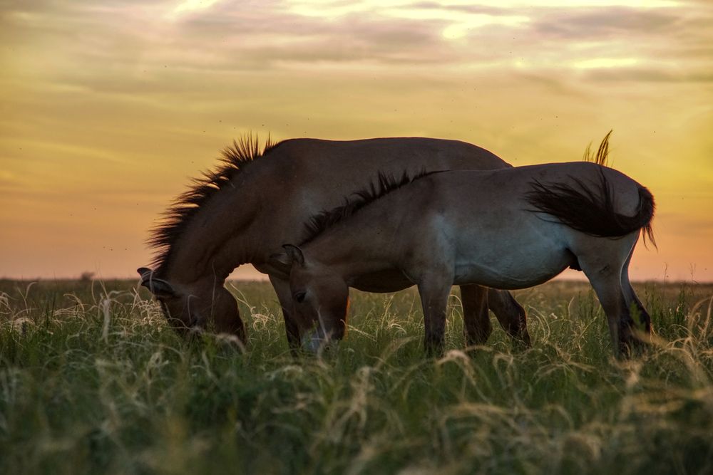 Photograph by Игорь Чебунин