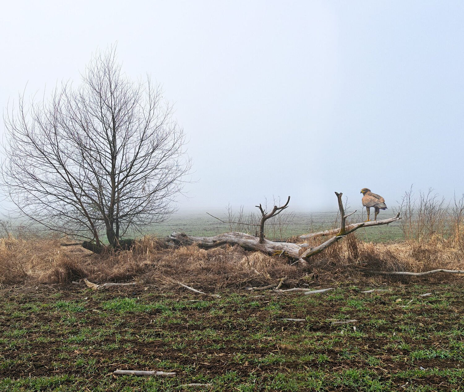 Photo #12112574