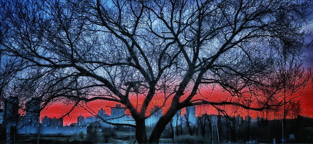 Фотография автора Максим Светличный