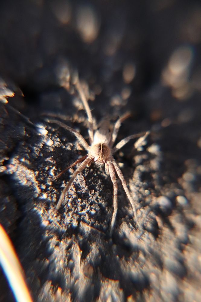 Photograph by Лилия Хохлова