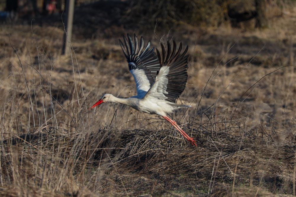 Photograph by Сергей Игнатьев