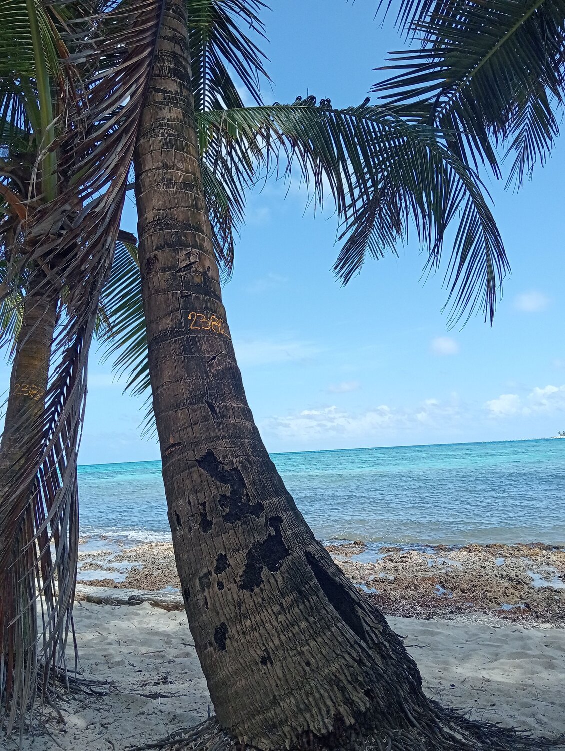 Photo #12112624