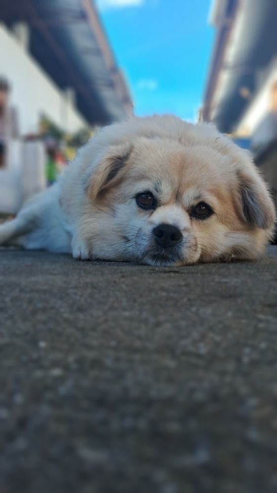 Photo #12113029
