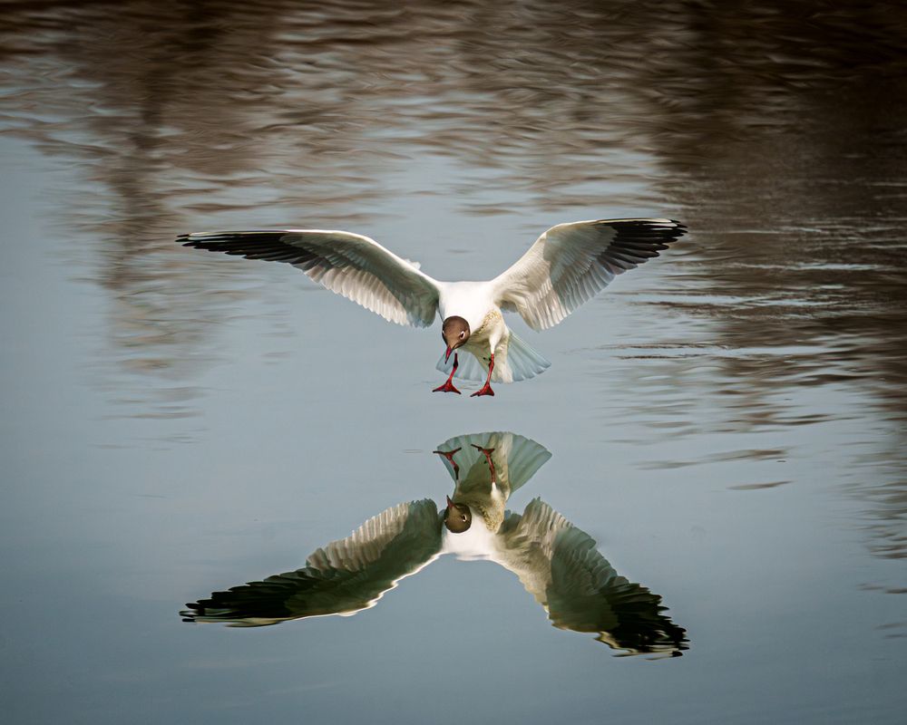 Photograph by Mikhail