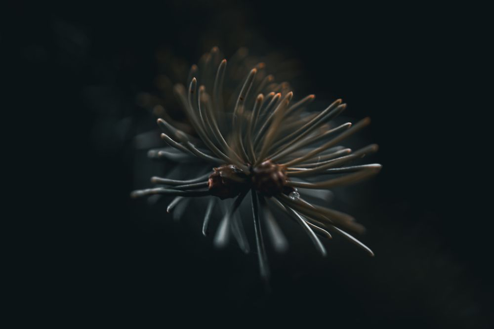 Photograph by Данил Стафеев