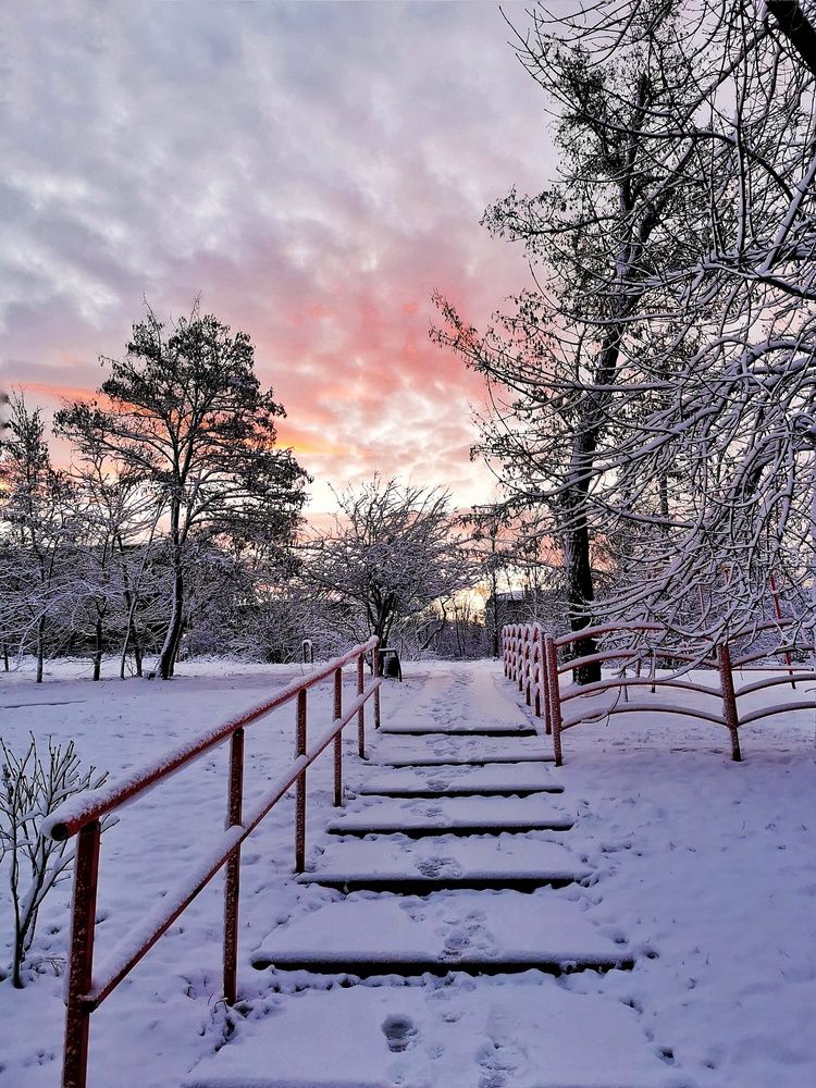 Photograph by Светлана Смирнова