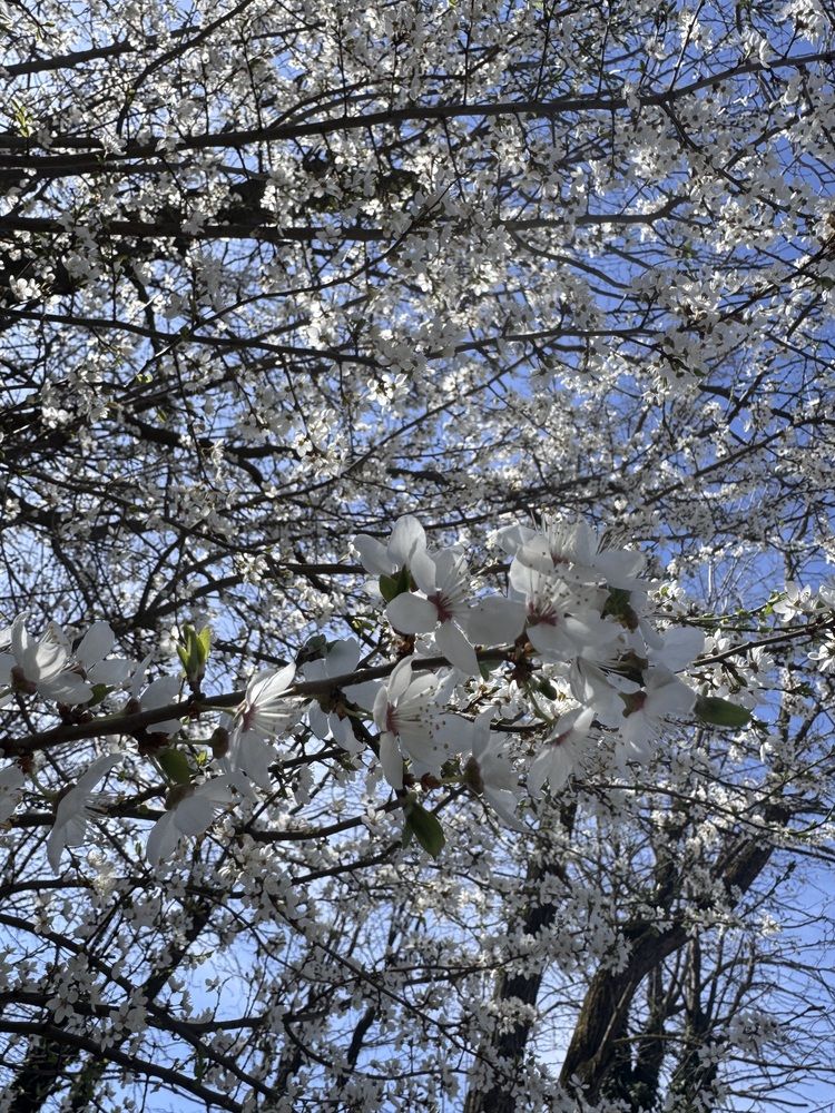 Photograph by Бойкова Наталия