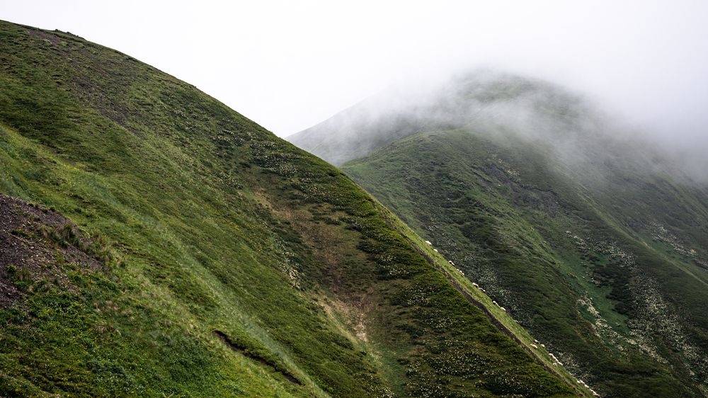 Photograph by Наталья Кокорина