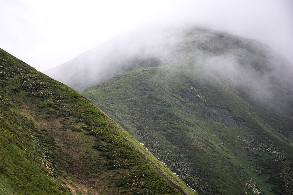 Photograph by Наталья Кокорина