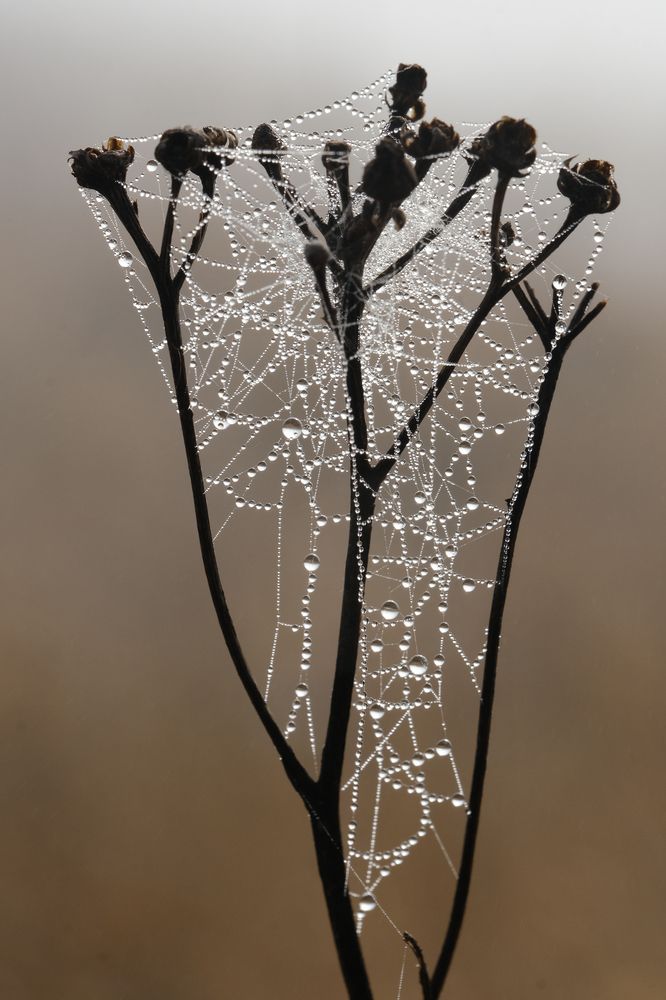 Фотография автора Александр Высоцкий
