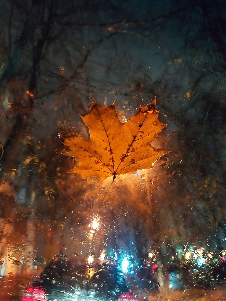 Photograph by Колесов Сергей