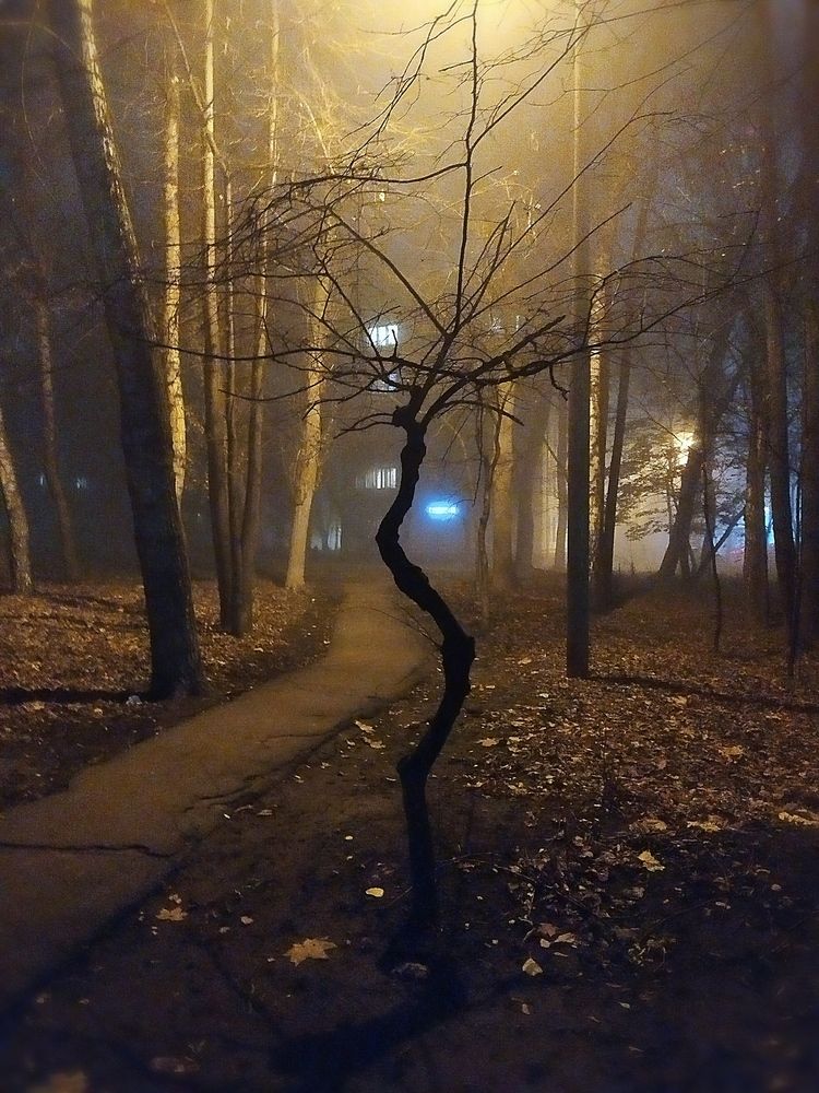 Photograph by Колесов Сергей