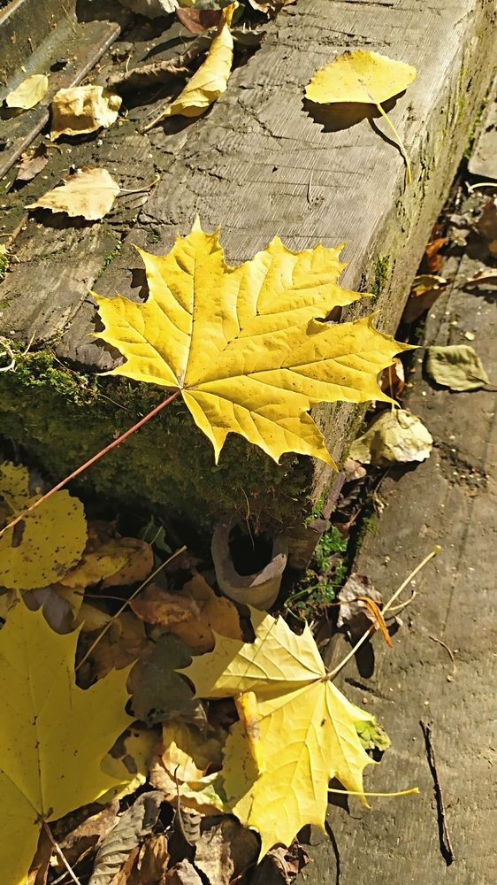 Photograph by Колесов Сергей