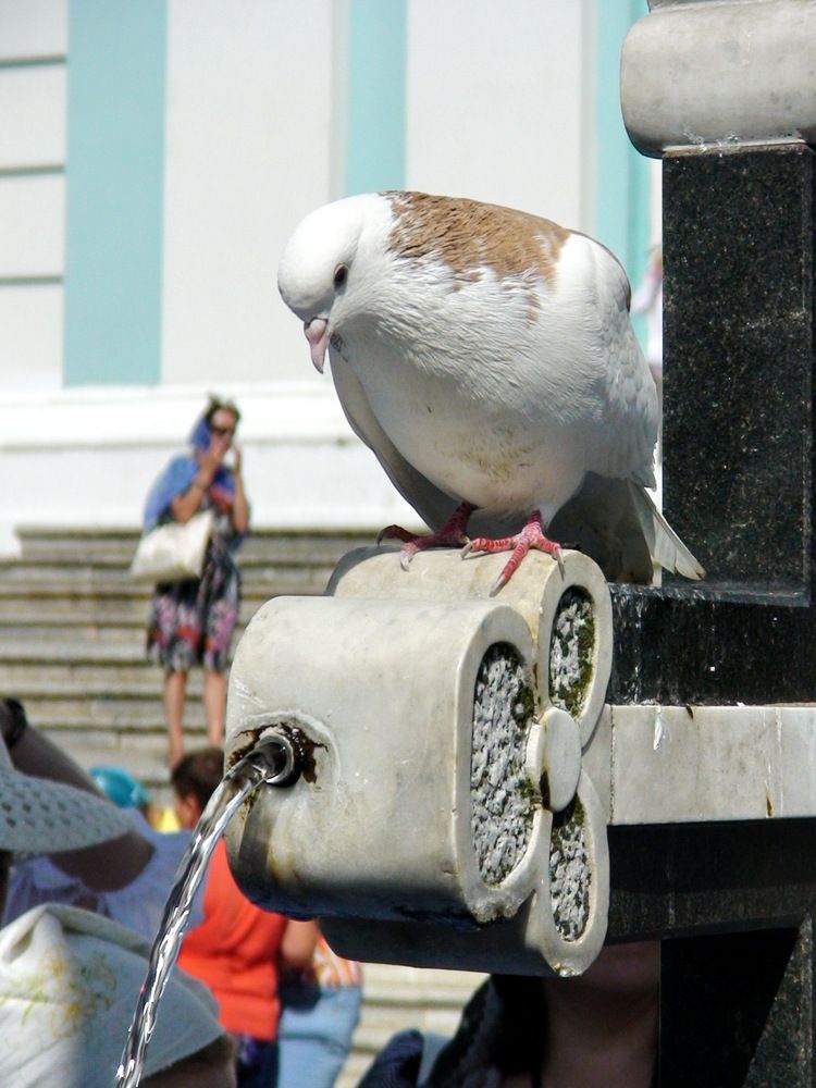 Photo #12113312