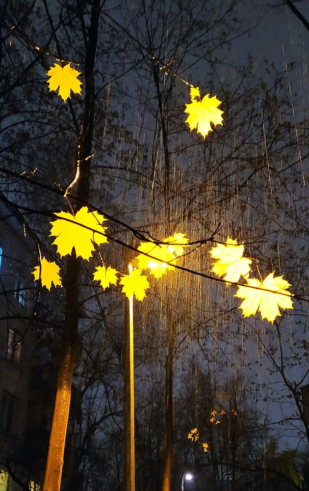 Photograph by Колесов Сергей