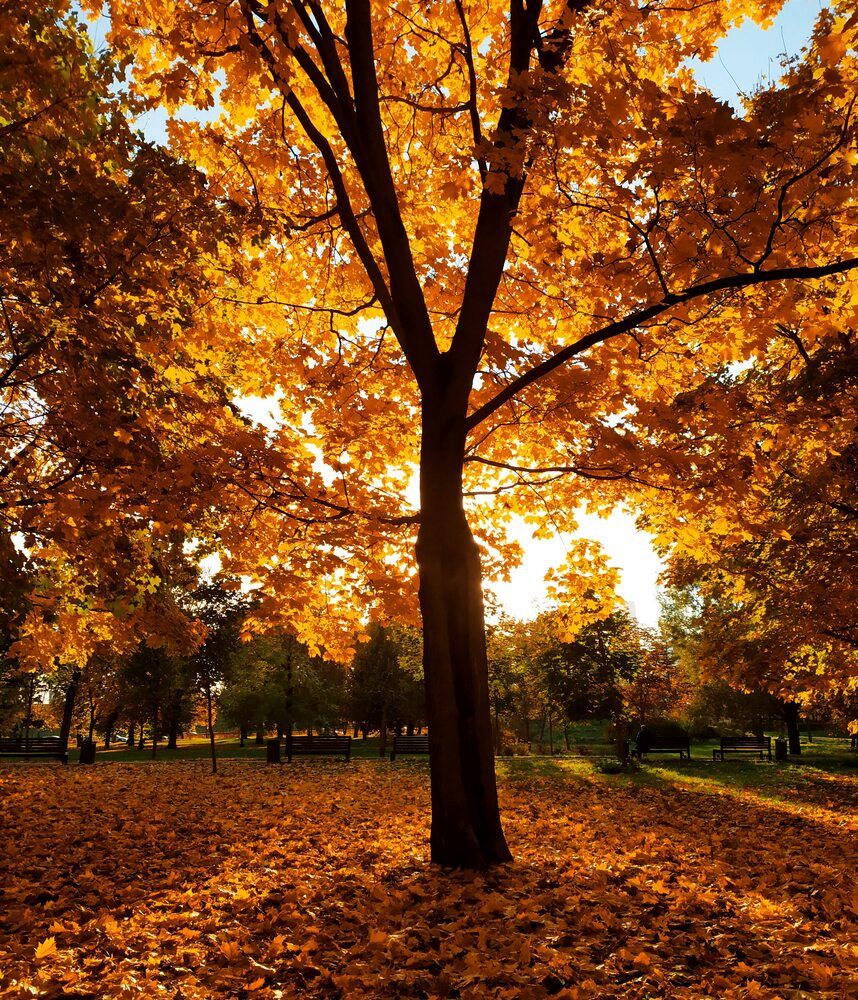 Photograph by Колесов Сергей