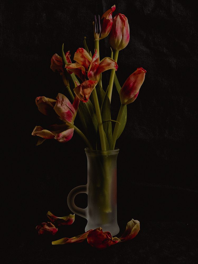 Photograph by Эльвира Сорокина