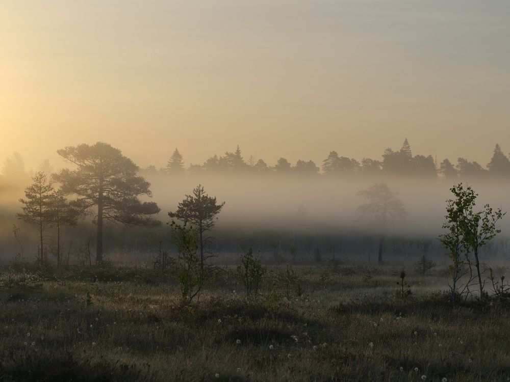 Photograph by Алексей Поляков