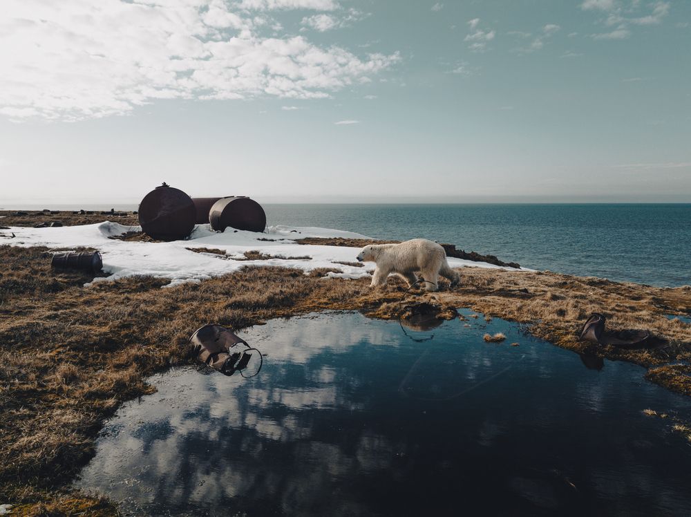 Photograph by Дмитрий Рындин