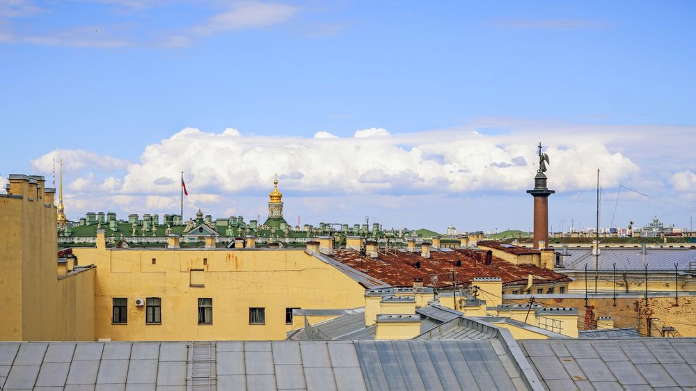 Вид на Александровскую колонну и крыши зданий.