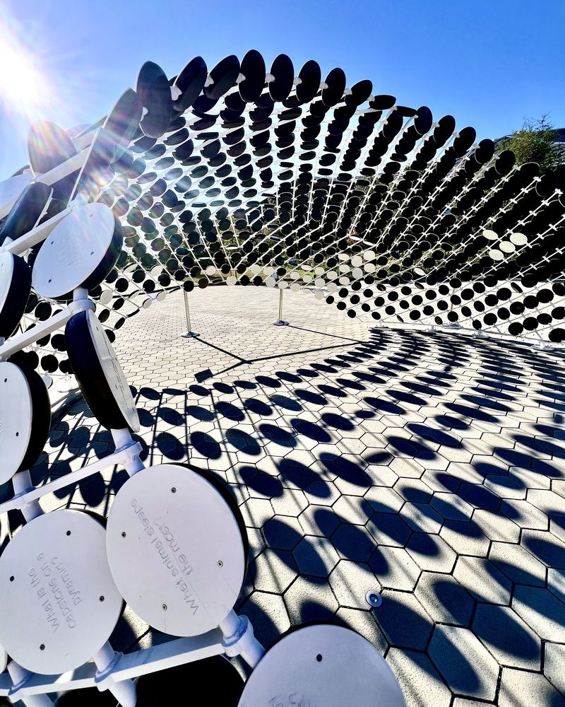 Фотография автора Татьяна Мичу-Николаевич