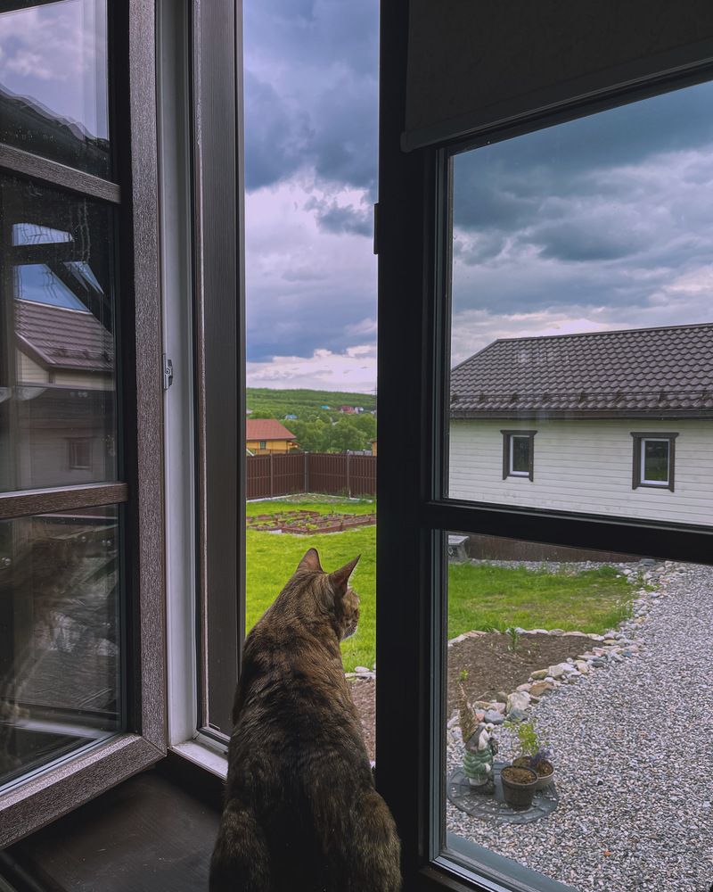 Photograph by Полина Мельникова