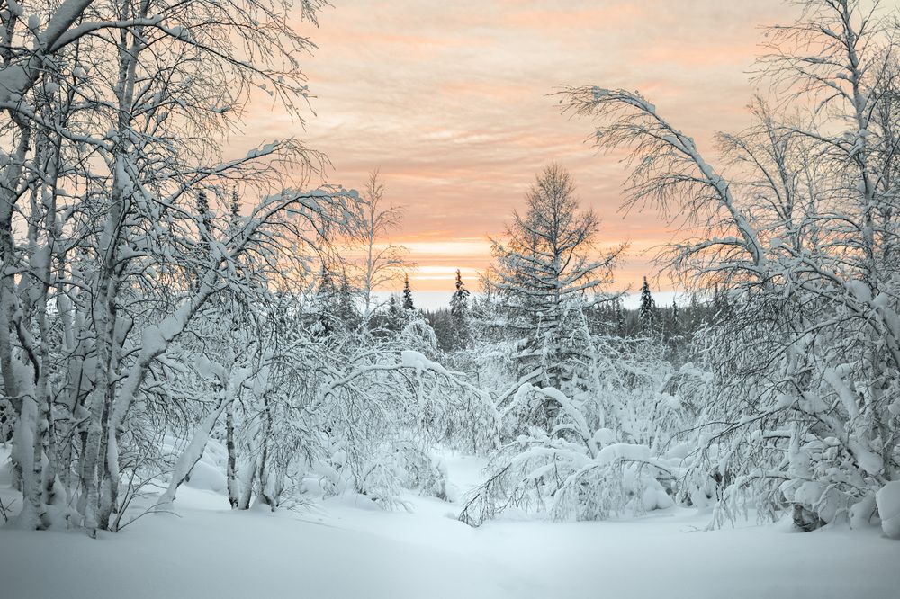 Зимний пейзаж Ямала