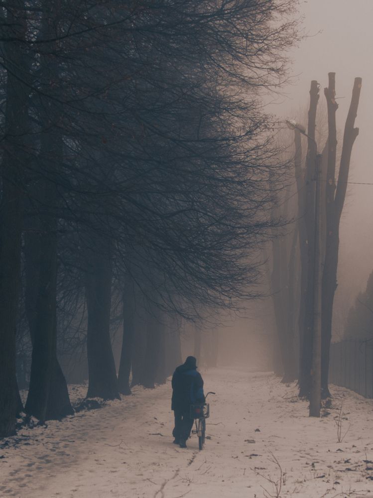 Photograph by Дмитрий Давидов