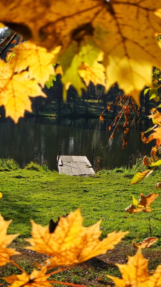 Photograph by Оксана Новикова