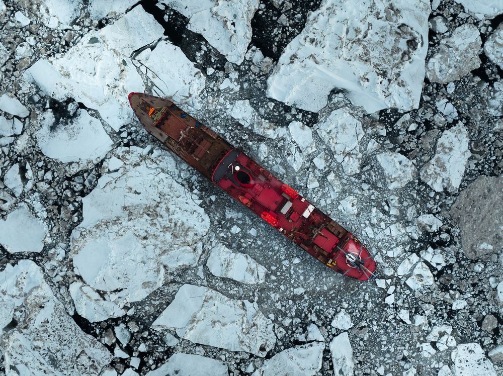 Ледокол в естественной среде обитания