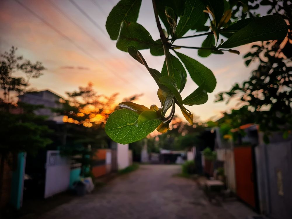 Photograph by Dwi Agus