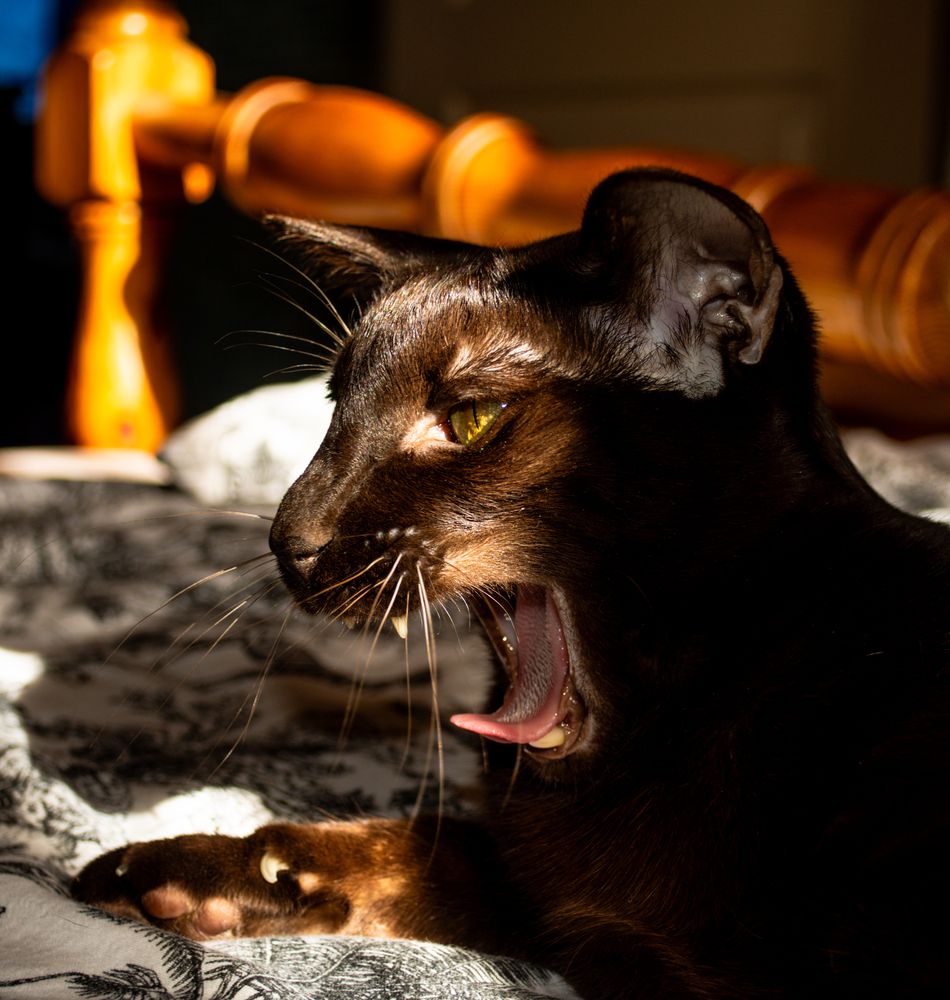 Photograph by Vjaceslavs