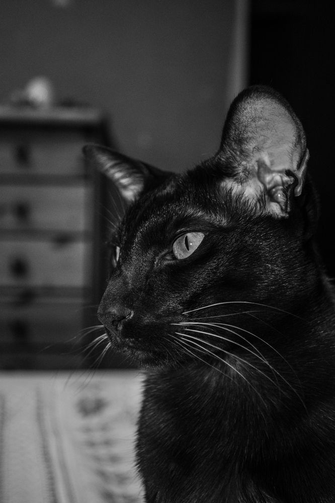 Photograph by Vjaceslavs