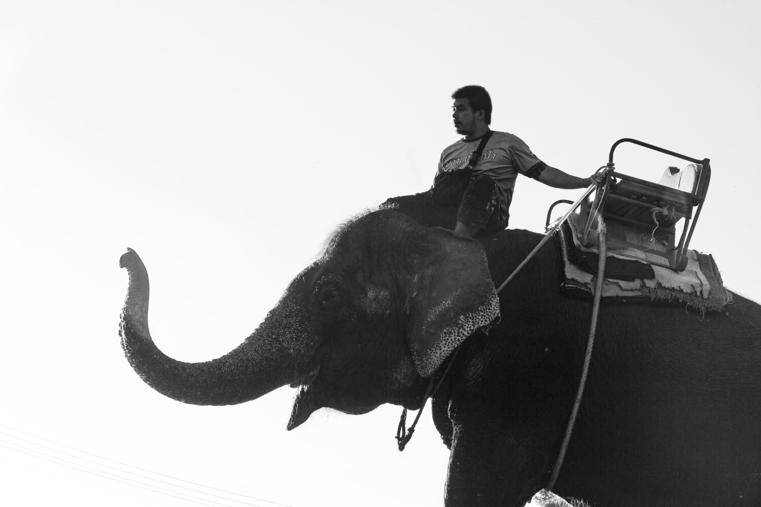 Photo #12114131