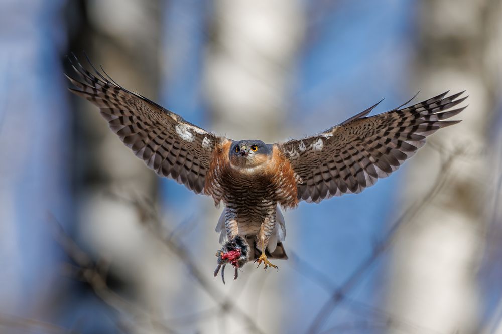 Photograph by Антон Науменко