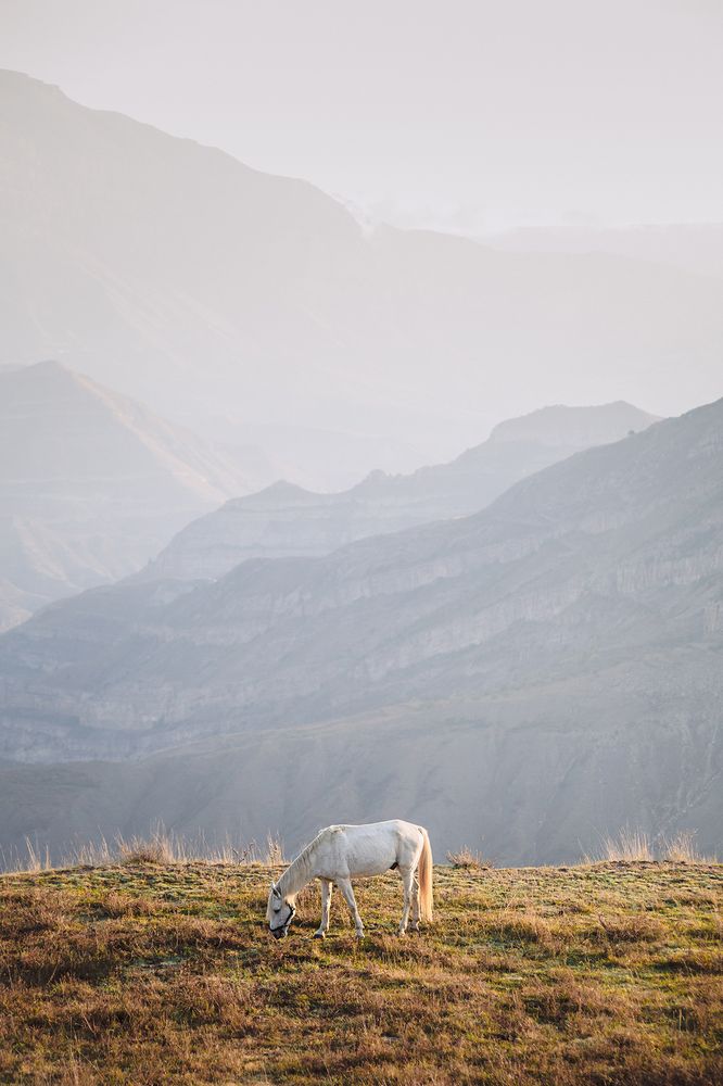 Photograph by Елена Тульчинская