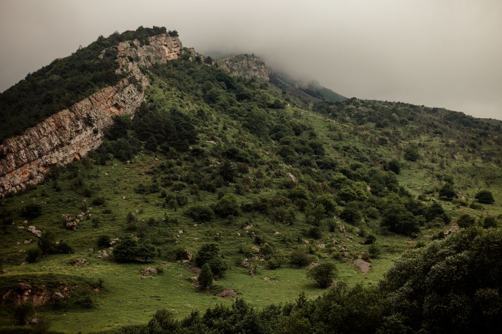 Photograph by Нина Зайцева