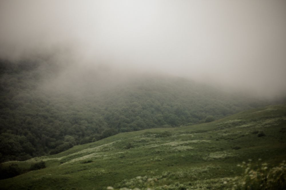 Photograph by Нина Зайцева